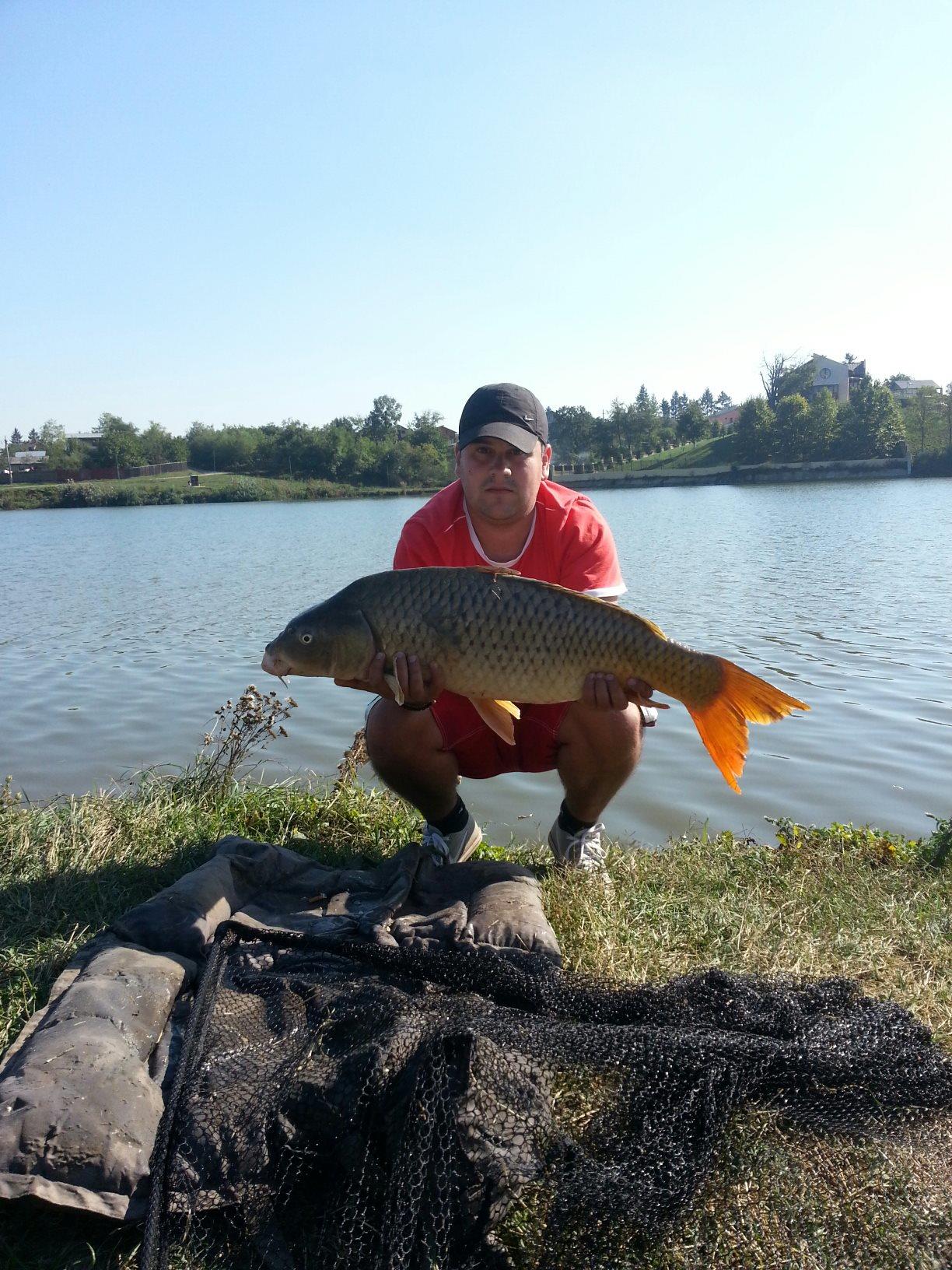 2012 - 201208_415442915176149_1222648103_o.jpg